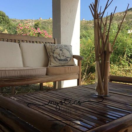 Mystics Zone Bed & Breakfast Bodrum Dış mekan fotoğraf